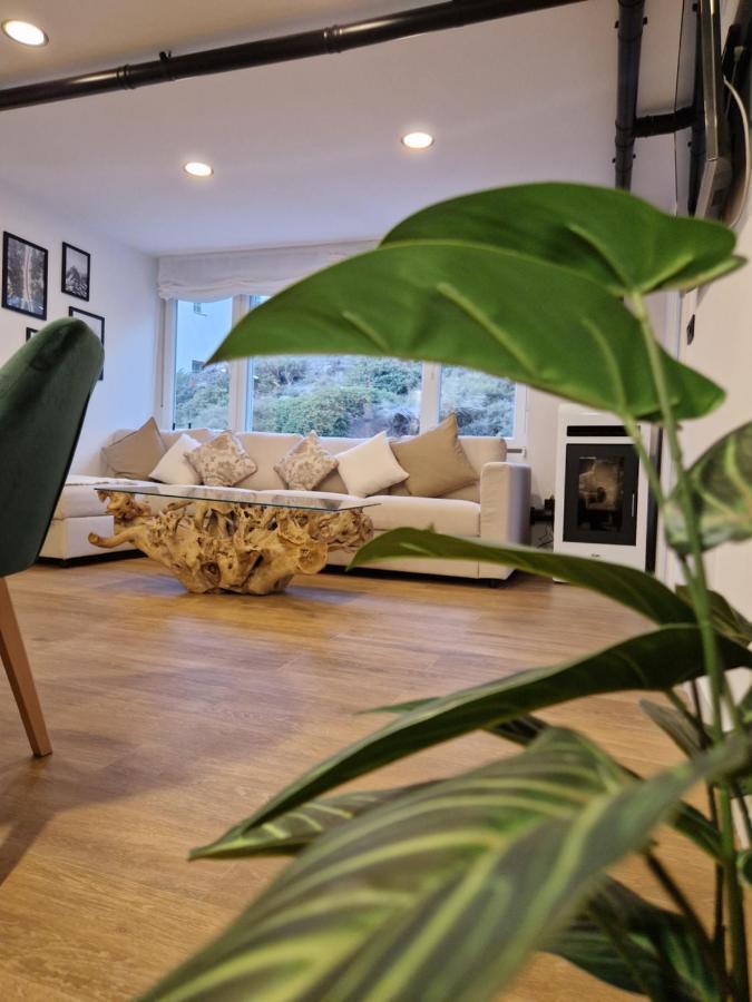 Brand New Apartment Very Cosy And Awesome Display Close To The Ski Slope! Private Parking Σιέρρα Νεβάδα Εξωτερικό φωτογραφία